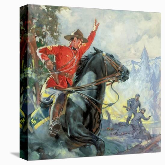 Stretched Canvas Print, , large