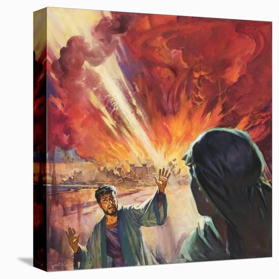 Stretched Canvas Print, , large