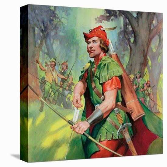 Stretched Canvas Print, , large