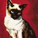 Siamese Cat-McConnell-Giclee Print