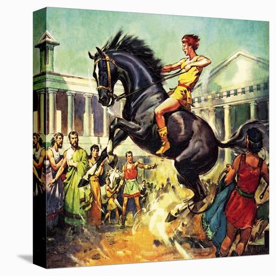 Stretched Canvas Print, , large