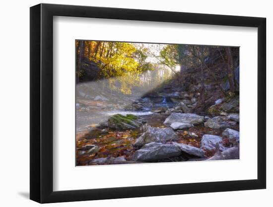 Mccormick Creek Sp Canyon in Early Morning Sun, Spencer, Indiana-Rona Schwarz-Framed Photographic Print