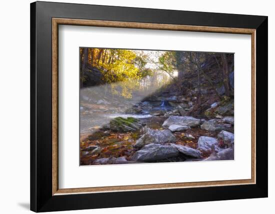 Mccormick Creek Sp Canyon in Early Morning Sun, Spencer, Indiana-Rona Schwarz-Framed Photographic Print