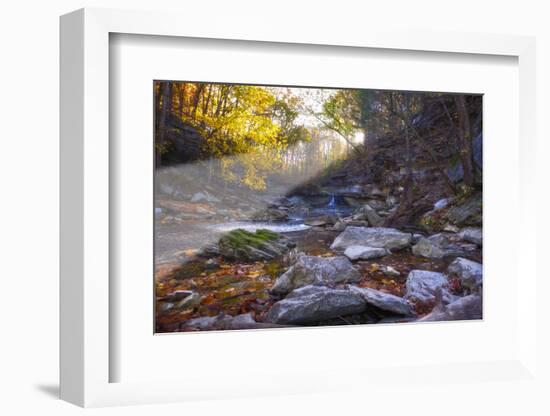 Mccormick Creek Sp Canyon in Early Morning Sun, Spencer, Indiana-Rona Schwarz-Framed Photographic Print