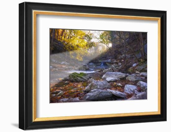 Mccormick Creek Sp Canyon in Early Morning Sun, Spencer, Indiana-Rona Schwarz-Framed Photographic Print