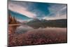 McDonald Lake Glacier National Park-Belinda Shi-Mounted Photographic Print