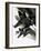 Mcdonnell Douglas F-15 Eagle Jet Fighter-Wilf Hardy-Framed Giclee Print