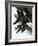 Mcdonnell Douglas F-15 Eagle Jet Fighter-Wilf Hardy-Framed Giclee Print