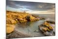Photographic Print