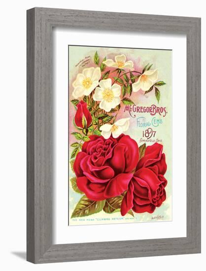 Mcgregor Bros. Floral Gems-null-Framed Art Print