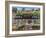 McKenna’s General Store-Sheila Lee-Framed Giclee Print