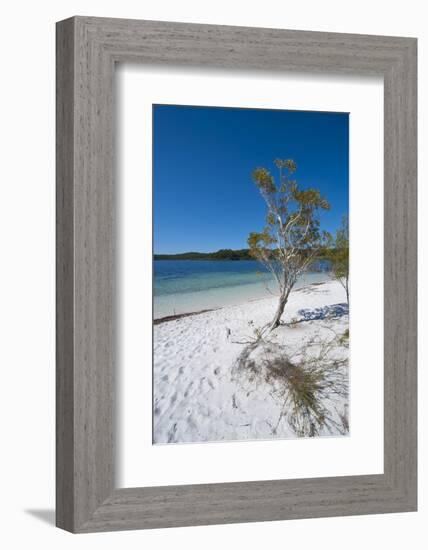 Mckenzie Lake, Fraser Island, UNESCO World Heritage Site, Queensland, Australia, Pacific-Michael Runkel-Framed Photographic Print