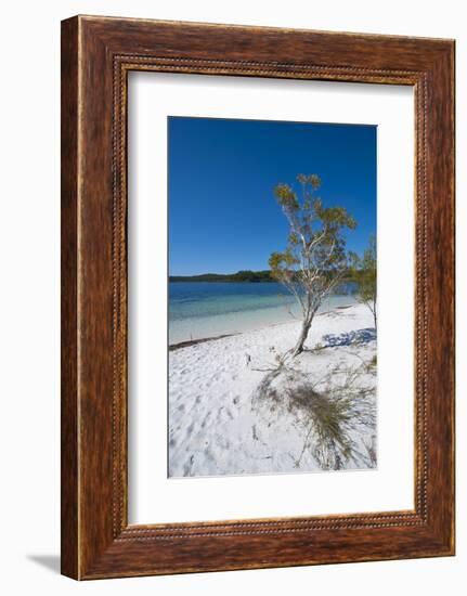 Mckenzie Lake, Fraser Island, UNESCO World Heritage Site, Queensland, Australia, Pacific-Michael Runkel-Framed Photographic Print