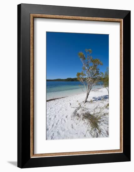 Mckenzie Lake, Fraser Island, UNESCO World Heritage Site, Queensland, Australia, Pacific-Michael Runkel-Framed Photographic Print