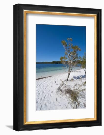 Mckenzie Lake, Fraser Island, UNESCO World Heritage Site, Queensland, Australia, Pacific-Michael Runkel-Framed Photographic Print