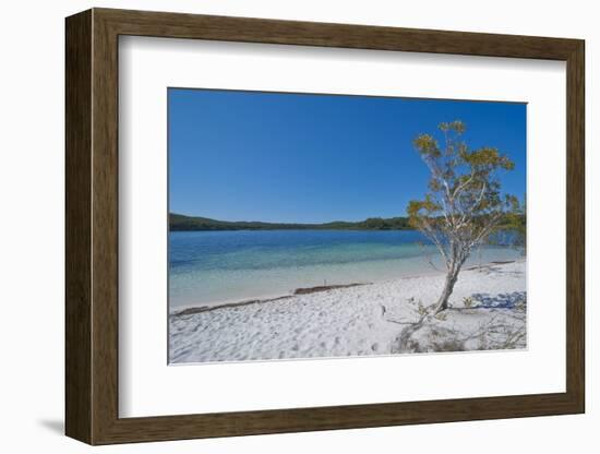 Mckenzie Lake, Fraser Island, UNESCO World Heritage Site, Queensland, Australia, Pacific-Michael Runkel-Framed Photographic Print