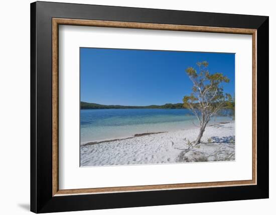 Mckenzie Lake, Fraser Island, UNESCO World Heritage Site, Queensland, Australia, Pacific-Michael Runkel-Framed Photographic Print