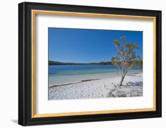 Mckenzie Lake, Fraser Island, UNESCO World Heritage Site, Queensland, Australia, Pacific-Michael Runkel-Framed Photographic Print