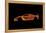 McLaren F1 LM-Octavian Mielu-Framed Stretched Canvas