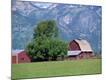 Photographic Print
