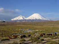 Landscape in the Isluga Area of the Atacama Desert, Chile, South America-Mcleod Rob-Framed Photographic Print