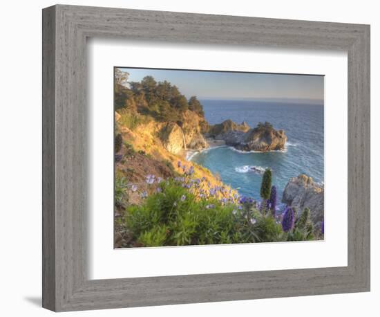 Mcway Falls at Julia Pfieffer Burns State Park Near Big Sur, California, USA-Chuck Haney-Framed Photographic Print