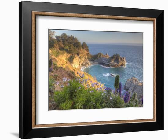 Mcway Falls at Julia Pfieffer Burns State Park Near Big Sur, California, USA-Chuck Haney-Framed Photographic Print