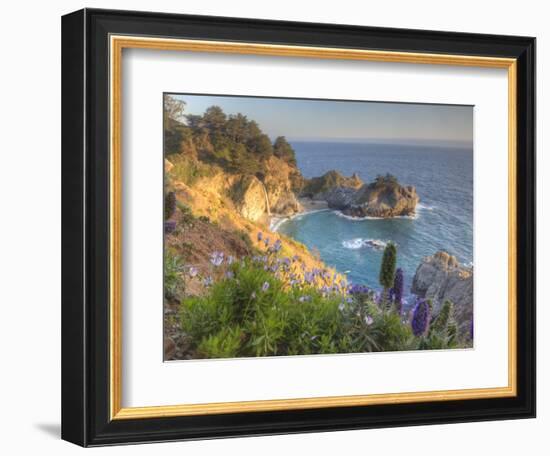 Mcway Falls at Julia Pfieffer Burns State Park Near Big Sur, California, USA-Chuck Haney-Framed Photographic Print