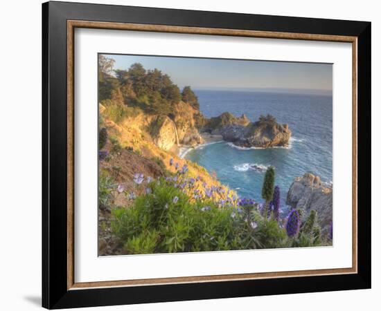 Mcway Falls at Julia Pfieffer Burns State Park Near Big Sur, California, USA-Chuck Haney-Framed Photographic Print