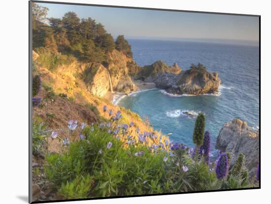 Mcway Falls at Julia Pfieffer Burns State Park Near Big Sur, California, USA-Chuck Haney-Mounted Photographic Print