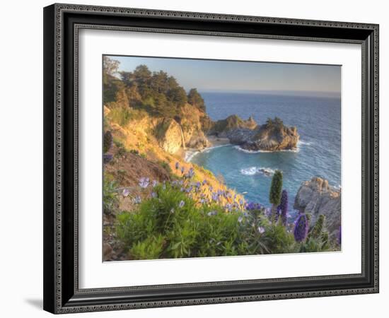 Mcway Falls at Julia Pfieffer Burns State Park Near Big Sur, California, USA-Chuck Haney-Framed Photographic Print