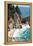 McWay Falls - Big Sur Coast, California-Lantern Press-Framed Stretched Canvas