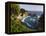 Mcway Falls, Mcway Cove, Julia Pfeiffer Burns State Park, California, Usa-Rainer Mirau-Framed Premier Image Canvas