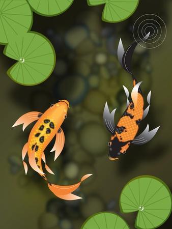 Three Butterfly Koi Fish' Art Print - mduerksen