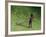 Me-Colin Bootman-Framed Giclee Print