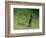 Me-Colin Bootman-Framed Premium Giclee Print