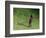 Me-Colin Bootman-Framed Premium Giclee Print