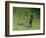 Me-Colin Bootman-Framed Premium Giclee Print