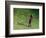 Me-Colin Bootman-Framed Premium Giclee Print