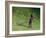 Me-Colin Bootman-Framed Giclee Print