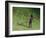 Me-Colin Bootman-Framed Giclee Print