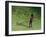 Me-Colin Bootman-Framed Giclee Print