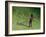 Me-Colin Bootman-Framed Giclee Print