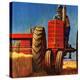 Stretched Canvas Print