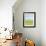 Meadow 2-Jan Weiss-Framed Art Print displayed on a wall