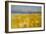 Meadow 2-Vahe Yeremyan-Framed Art Print