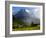 Meadow and Farm Building, Grindelwald, Bern, Switzerland, Europe-Richardson Peter-Framed Photographic Print