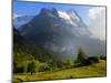 Meadow and Farm Building, Grindelwald, Bern, Switzerland, Europe-Richardson Peter-Mounted Photographic Print