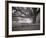 Meadow Bank Farm Monroeville, Alabama-Carol Highsmith-Framed Photo