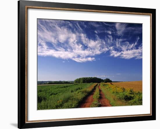 Meadow Bank, Prince Edward Island, Canada-Walter Bibikow-Framed Photographic Print